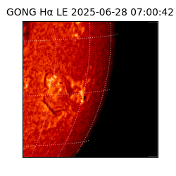 gong - 2025-06-28T07:00:42