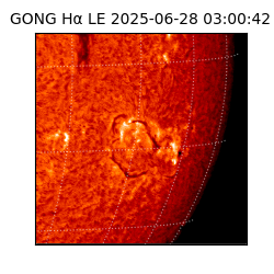 gong - 2025-06-28T03:00:42