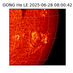 gong - 2025-06-28T08:00:42