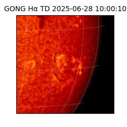 gong - 2025-06-28T10:00:10