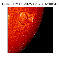 gong - 2025-06-28T02:00:42
