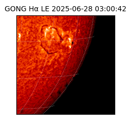 gong - 2025-06-28T03:00:42