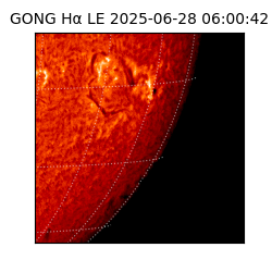 gong - 2025-06-28T06:00:42