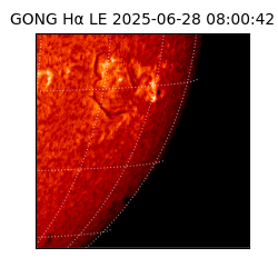 gong - 2025-06-28T08:00:42