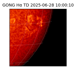 gong - 2025-06-28T10:00:10