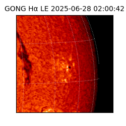 gong - 2025-06-28T02:00:42