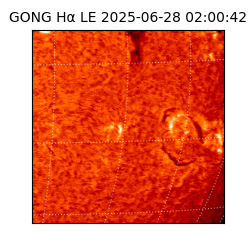 gong - 2025-06-28T02:00:42