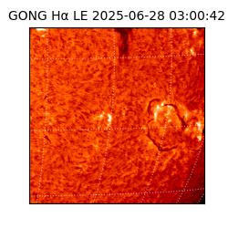 gong - 2025-06-28T03:00:42