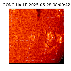 gong - 2025-06-28T08:00:42