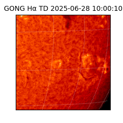 gong - 2025-06-28T10:00:10