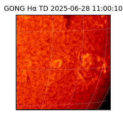 gong - 2025-06-28T11:00:10