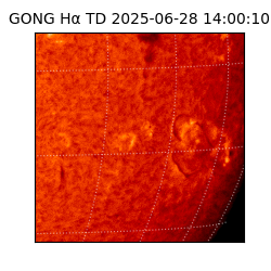 gong - 2025-06-28T14:00:10