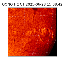 gong - 2025-06-28T15:08:42