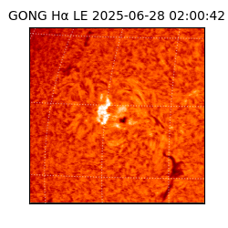 gong - 2025-06-28T02:00:42