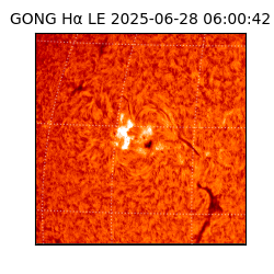 gong - 2025-06-28T06:00:42