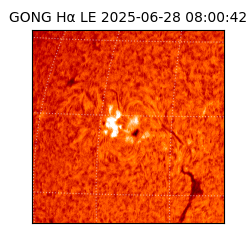 gong - 2025-06-28T08:00:42