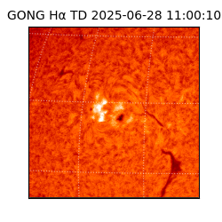 gong - 2025-06-28T11:00:10