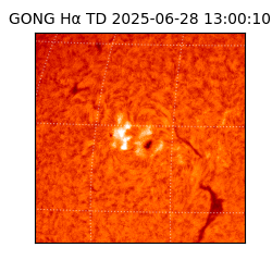 gong - 2025-06-28T13:00:10