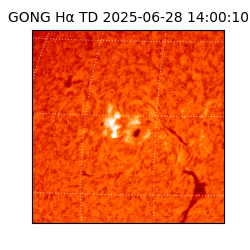 gong - 2025-06-28T14:00:10