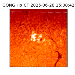 gong - 2025-06-28T15:08:42