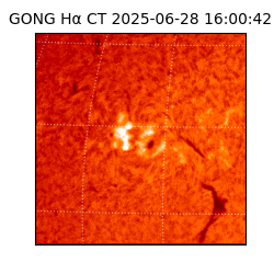 gong - 2025-06-28T16:00:42