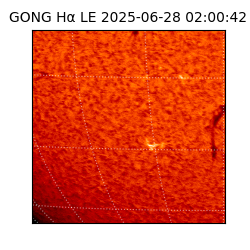 gong - 2025-06-28T02:00:42