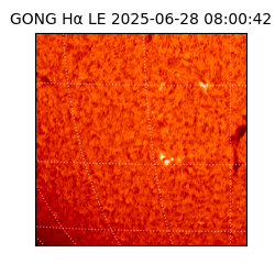 gong - 2025-06-28T08:00:42