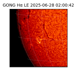 gong - 2025-06-28T02:00:42