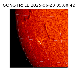 gong - 2025-06-28T05:00:42
