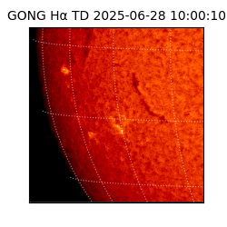 gong - 2025-06-28T10:00:10