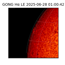 gong - 2025-06-28T01:00:42