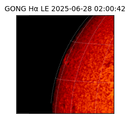 gong - 2025-06-28T02:00:42