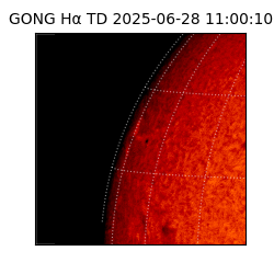gong - 2025-06-28T11:00:10