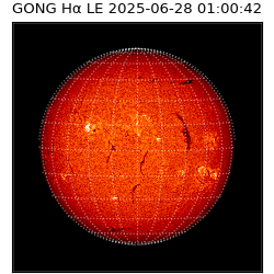 gong - 2025-06-28T01:00:42