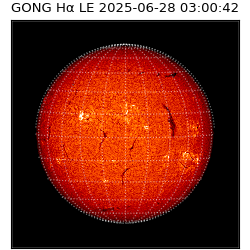 gong - 2025-06-28T03:00:42