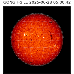 gong - 2025-06-28T05:00:42