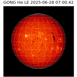 gong - 2025-06-28T07:00:42