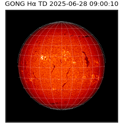 gong - 2025-06-28T09:00:10