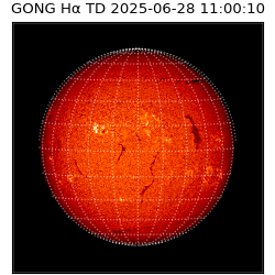 gong - 2025-06-28T11:00:10
