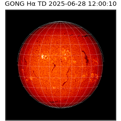 gong - 2025-06-28T12:00:10