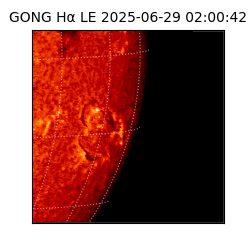 gong - 2025-06-29T02:00:42
