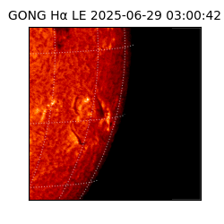 gong - 2025-06-29T03:00:42