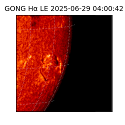 gong - 2025-06-29T04:00:42