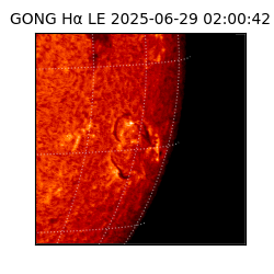 gong - 2025-06-29T02:00:42