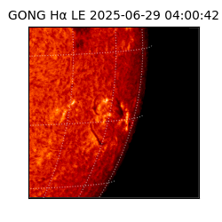 gong - 2025-06-29T04:00:42