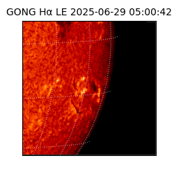 gong - 2025-06-29T05:00:42