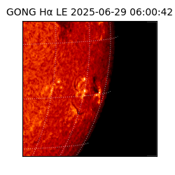 gong - 2025-06-29T06:00:42