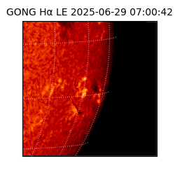 gong - 2025-06-29T07:00:42