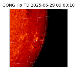 gong - 2025-06-29T09:00:10