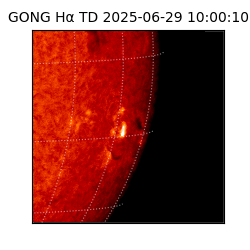 gong - 2025-06-29T10:00:10